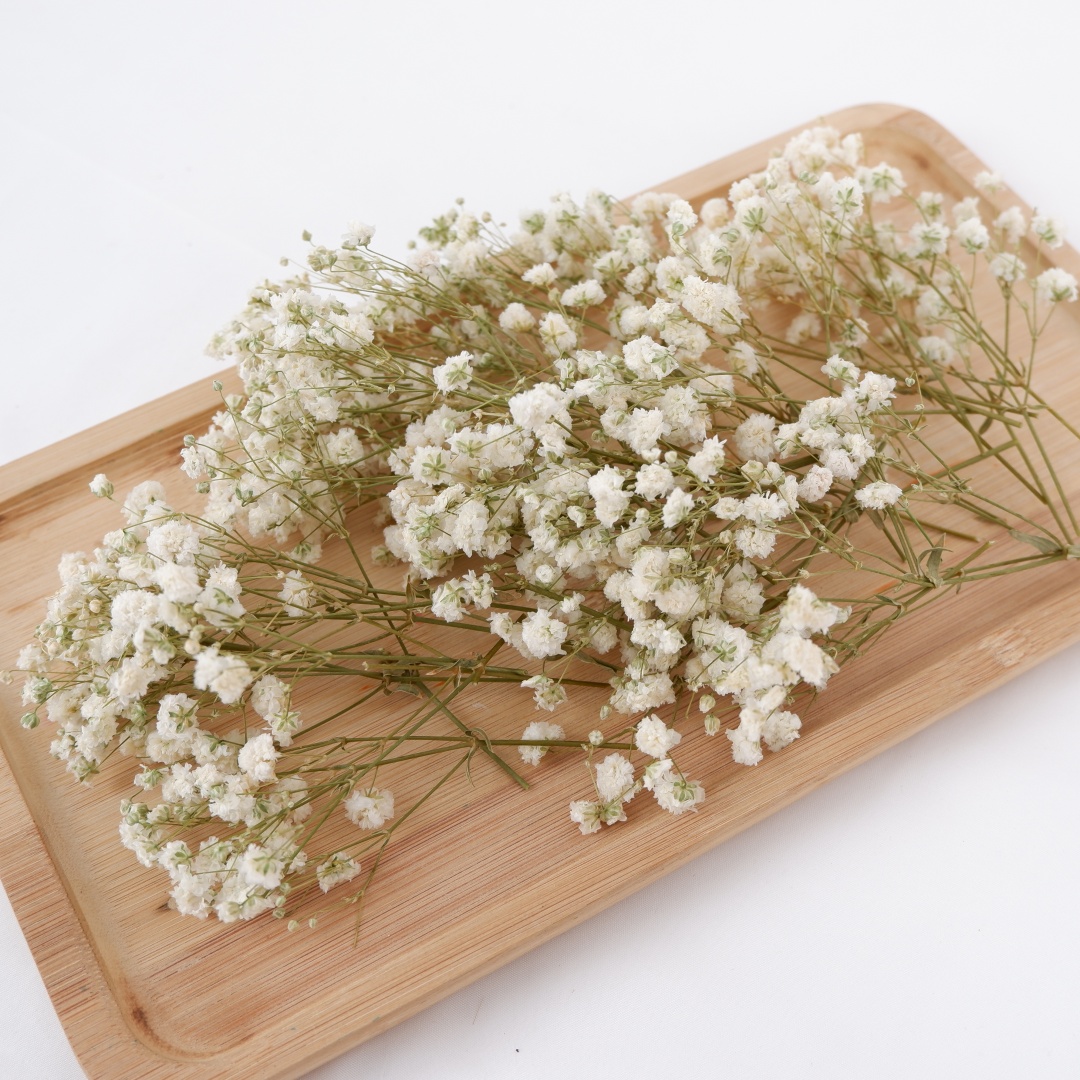 Dried Flowers White Mini Dried - đánh giá và giá Baby Breath Dried