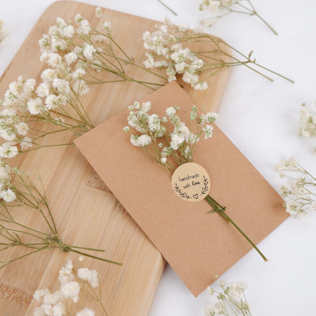 Dried Flowers White Mini Dried - đánh giá và giá Baby Breath Dried