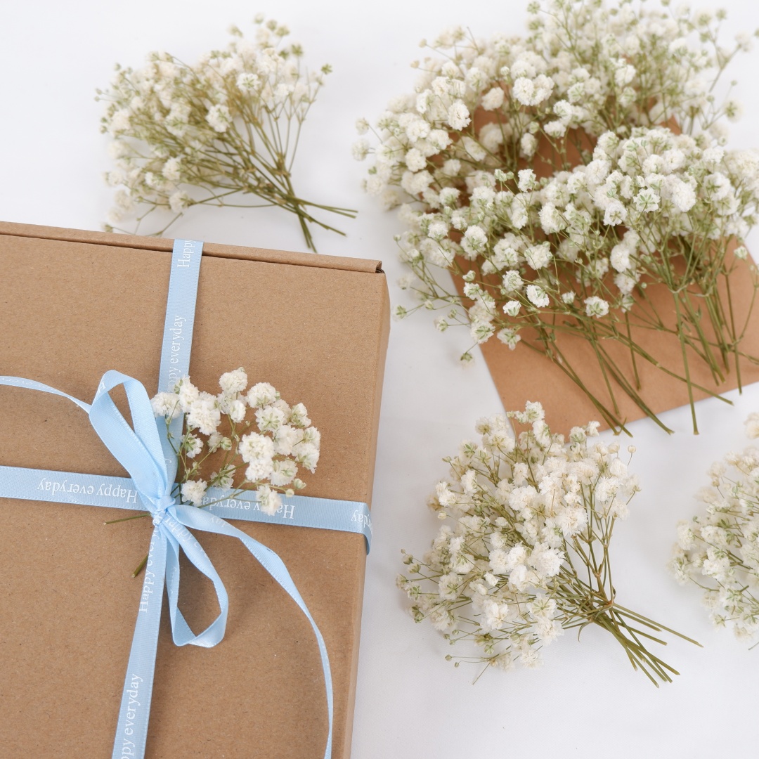 Dried Flowers White Mini Dried - đánh giá và giá Baby Breath Dried