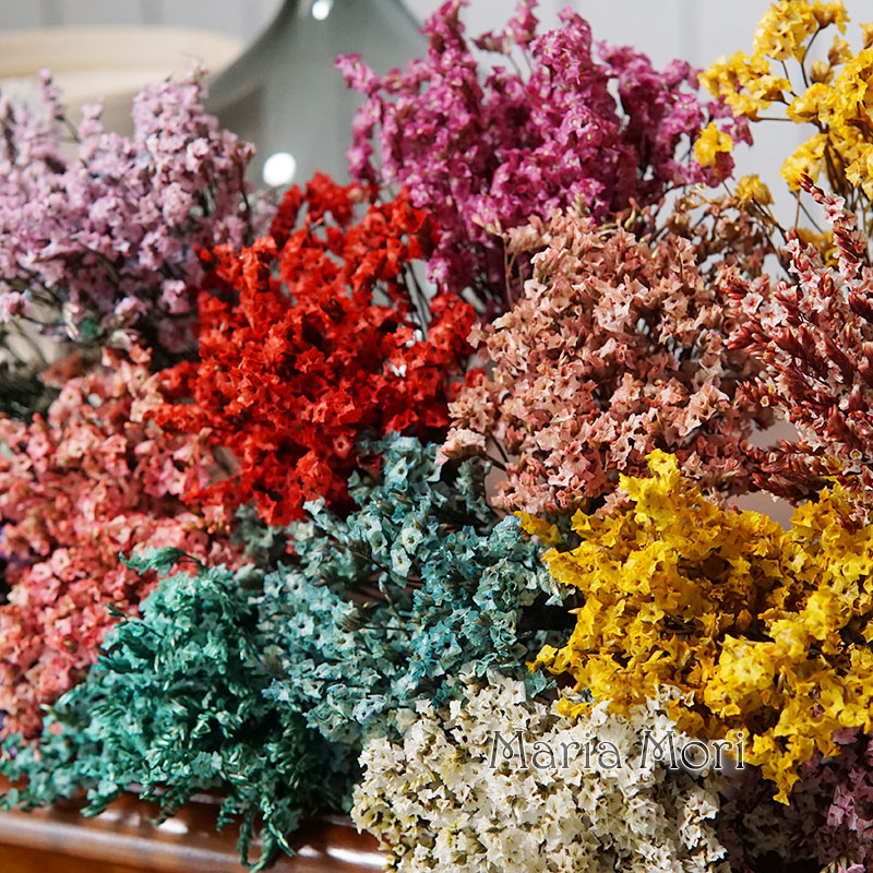 5g/ Colorful Dired Preserved C - đánh giá và giá Baby Breath Dried