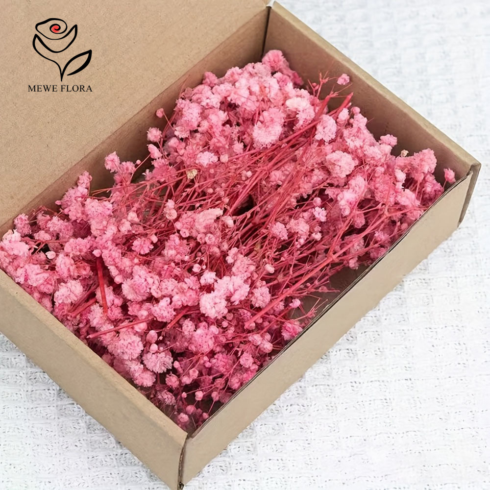 100 Small Branch Dried Baby's  - đánh giá và giá Baby Breath Dried