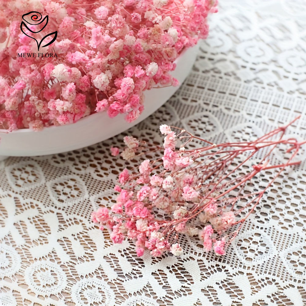 100 Small Branch Dried Baby's  - đánh giá và giá Baby Breath Dried